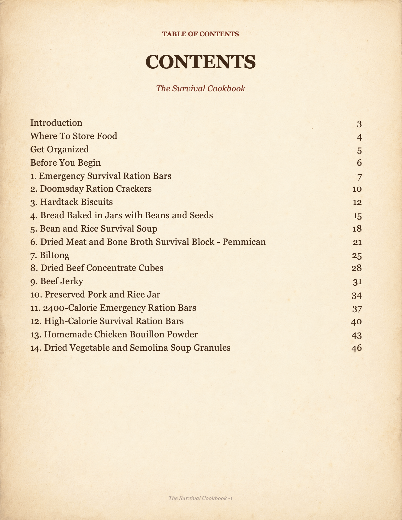 Intro or table of contents page preview